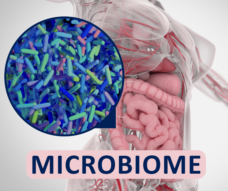 Common Food Preservatives Found to Harm Beneficial Gut Microbes