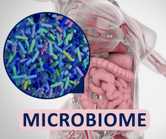 Common Food Preservatives Found to Harm Beneficial Gut Microbes