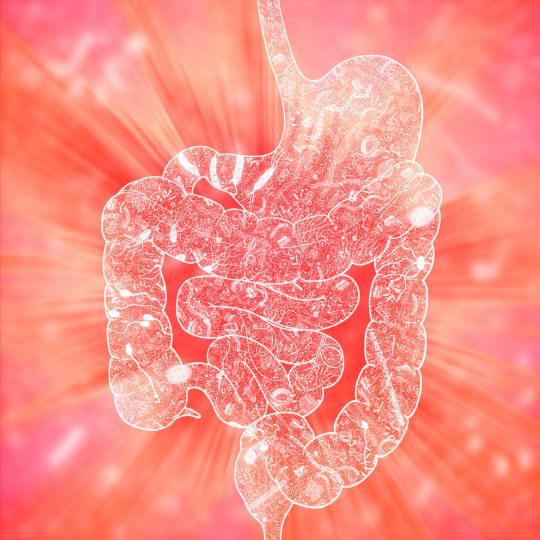 Gut microbiome is most important scientific discovery for human healthcare in recent decades