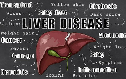 Natural Ways to Improve a Fatty Liver