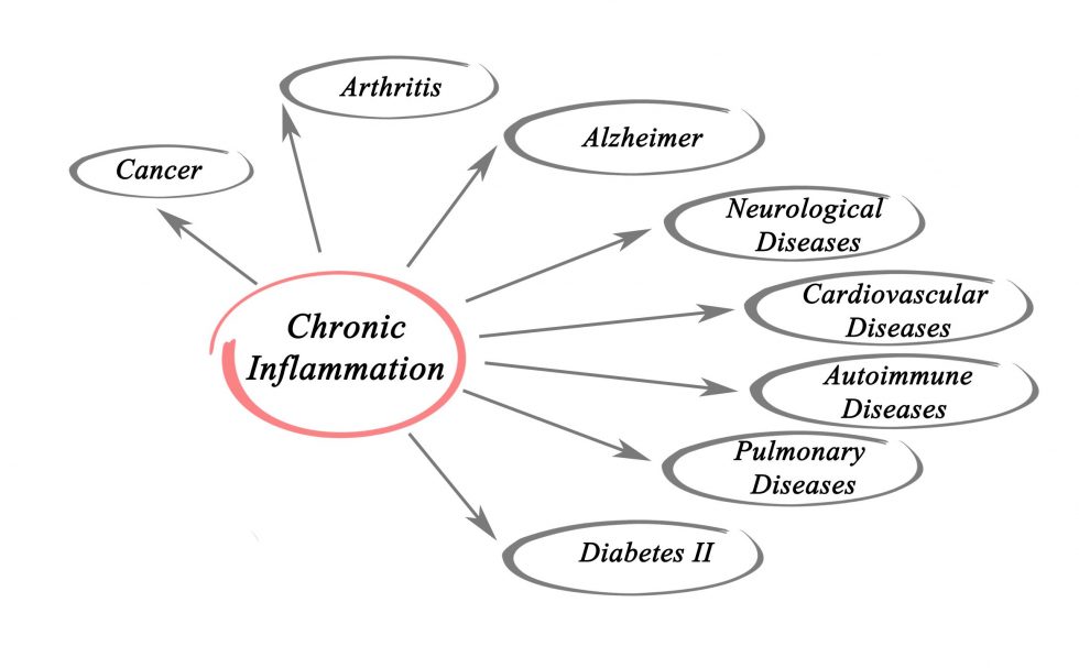 How Inflammation Affects Your Body and How Polyphenols Can Help