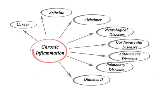 How Inflammation Affects Your Body and How Polyphenols Can Help