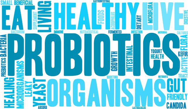 What is the Difference Between Probiotics and Prebiotics?