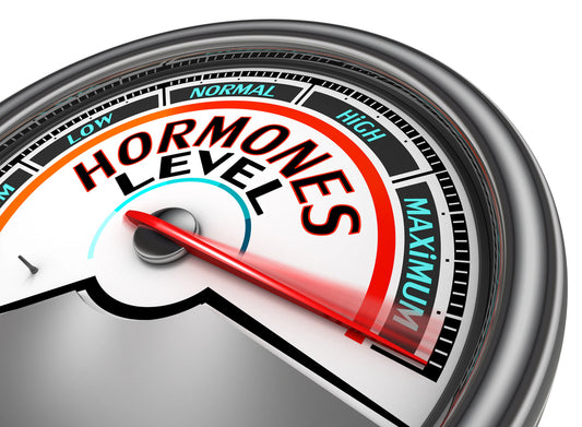 Nutrition has a Big Impact on Hormonal Health