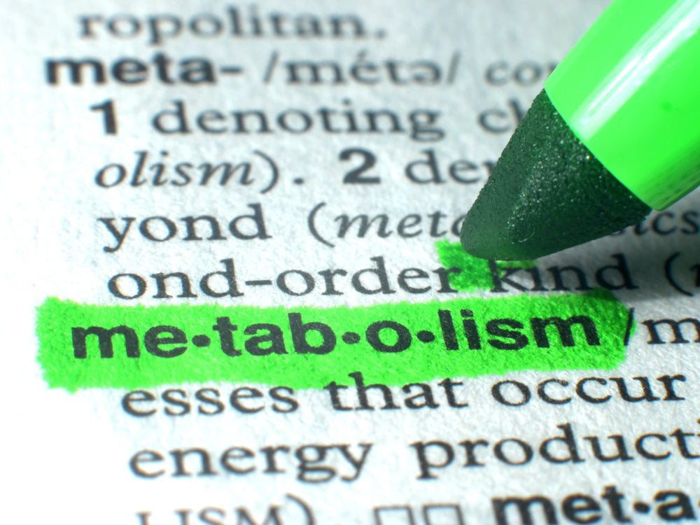 Understanding the Impact of Metabolism on Health