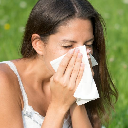 Natural Help To Survive Seasonal Allergies Qgenics